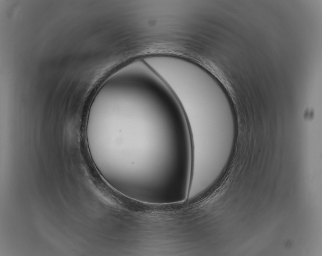 X0000093130530200709261037