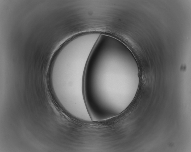X0000093130532200709261037