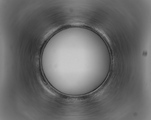 X0000093130533200709261037