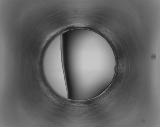 X0000093130535200709261037