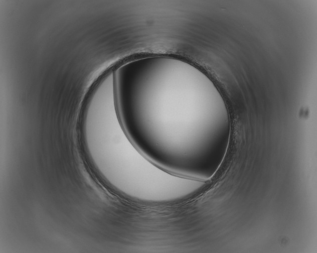 X0000093130536200709261037