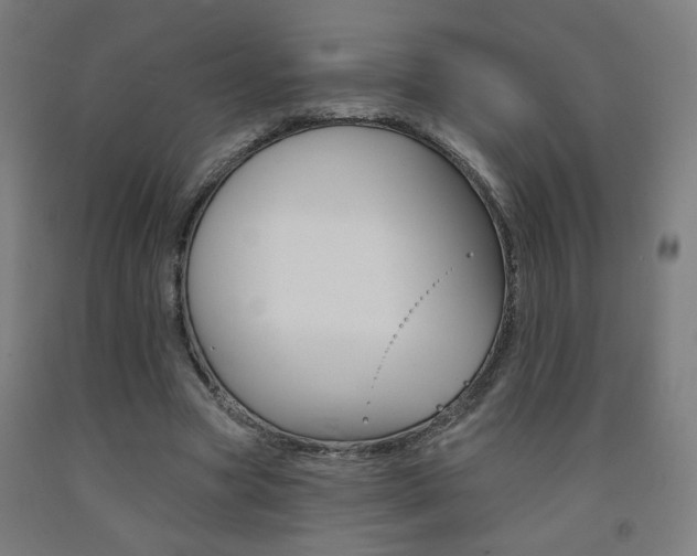 X0000093130537200709261037