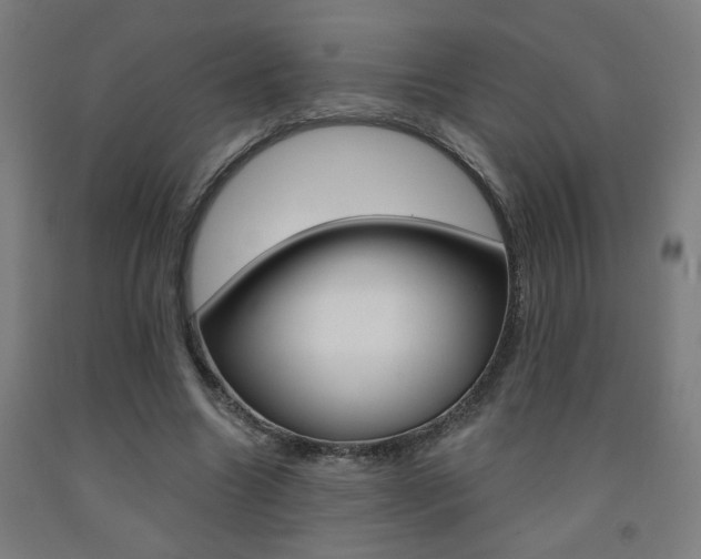 X0000093130538200709261037