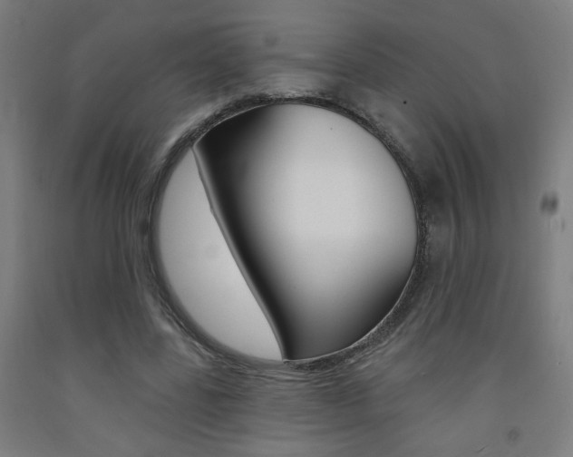 X0000093130539200709261037