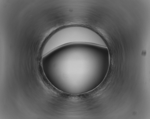 X0000093130540200709261037