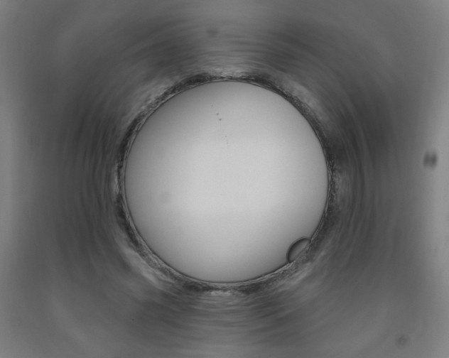 X0000093130541200709261037