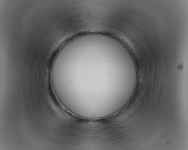 X0000093130542200709261037