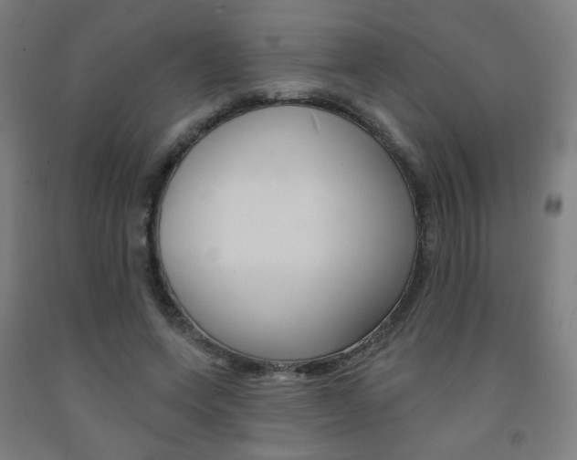 X0000093130543200709261037