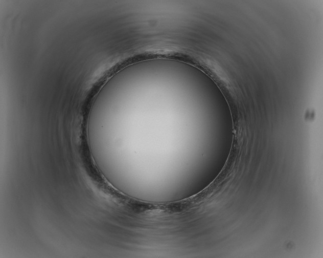 X0000093130544200709261037