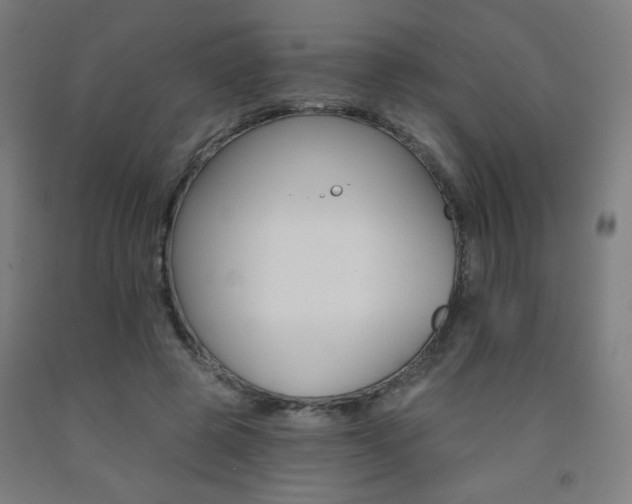 X0000093130545200709261037
