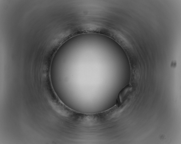 X0000093130546200709261037