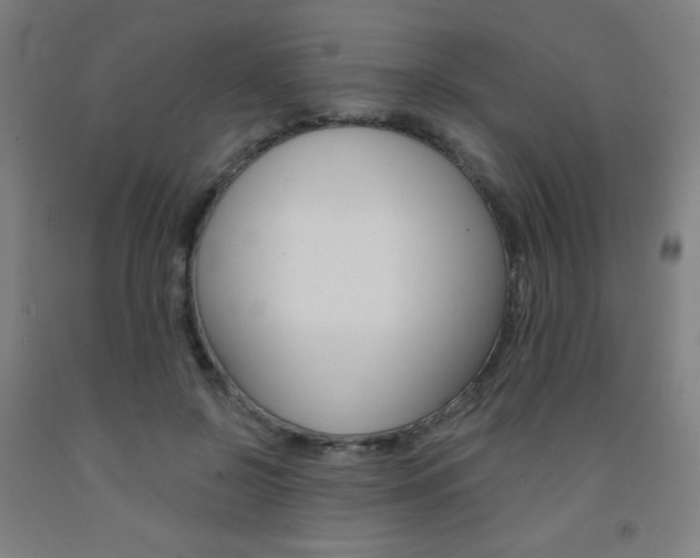 X0000093130550200709261038