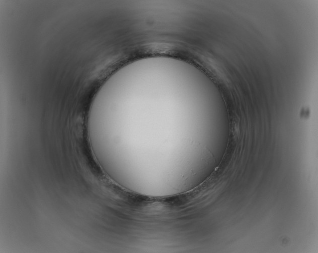 X0000093130551200709261038