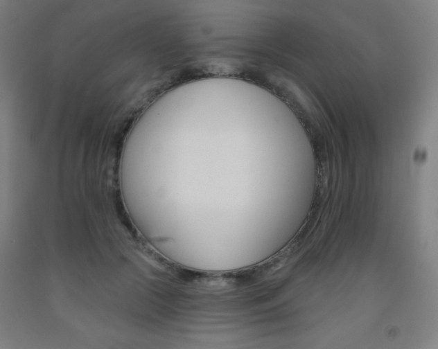 X0000093130553200709261038