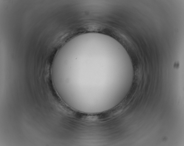 X0000093130554200709261038