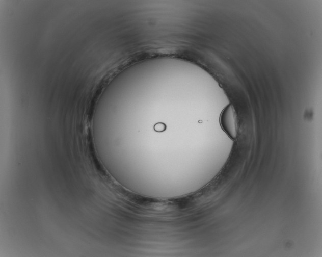 X0000093130555200709261038