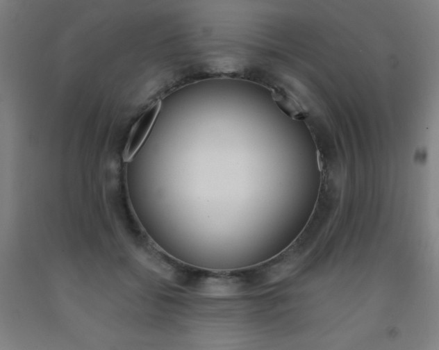 X0000093130556200709261038