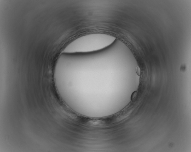X0000093130557200709261038