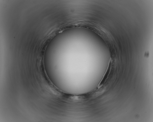 X0000093130558200709261038