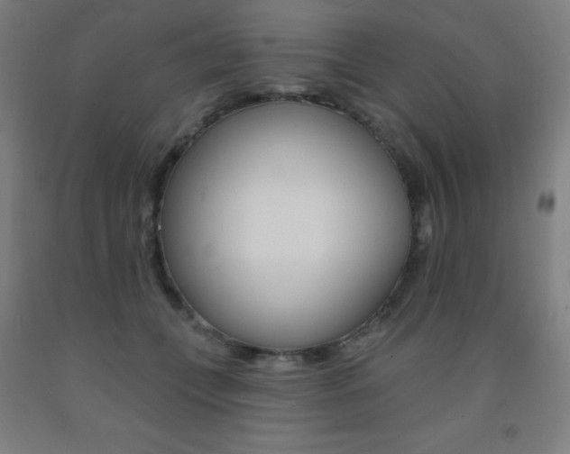 X0000093130559200709261038