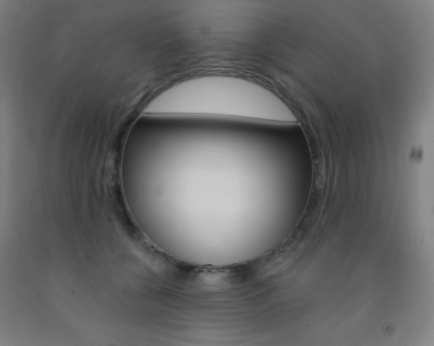 X0000093130560200709261038