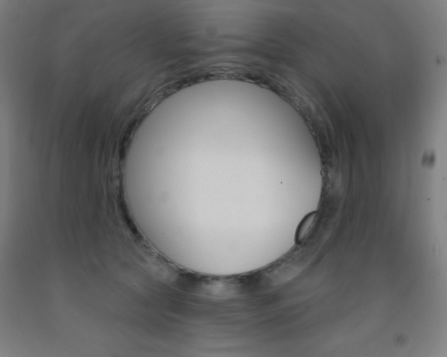 X0000093130561200709261038