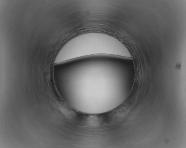X0000093130562200709261038
