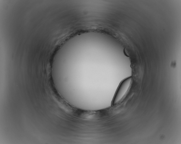 X0000093130563200709261038