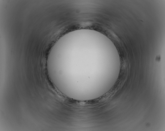 X0000093130565200709261038