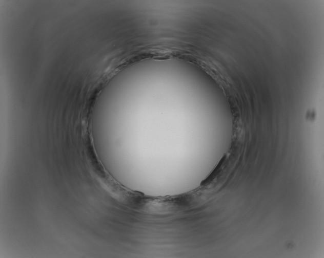 X0000093130568200709261038