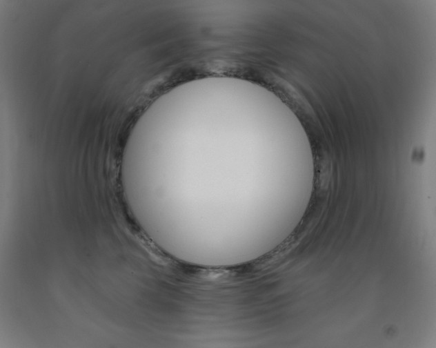X0000093130569200709261038