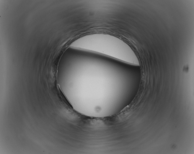 X0000093130572200709261038