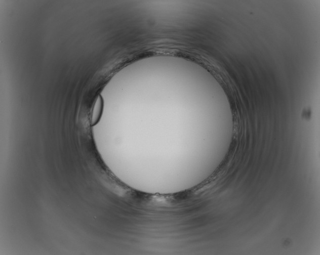 X0000093130573200709261038