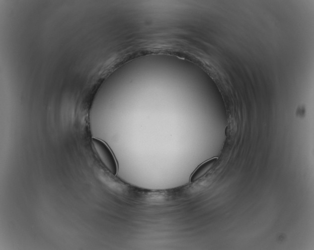 X0000093130574200709261038