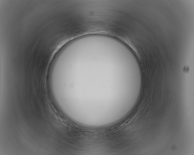 X0000093130579200709261037