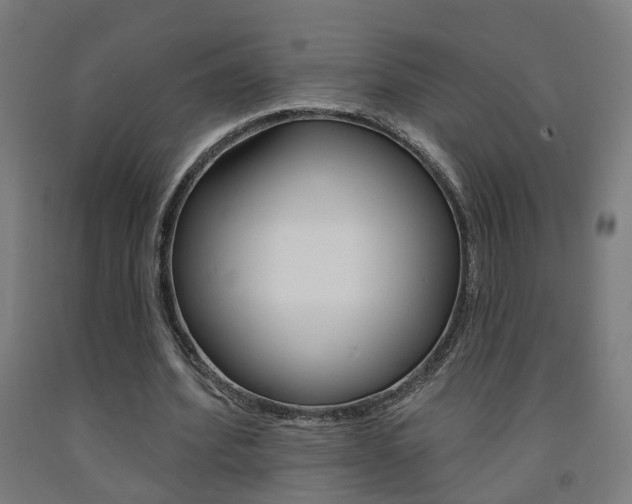 X0000093130580200709261037