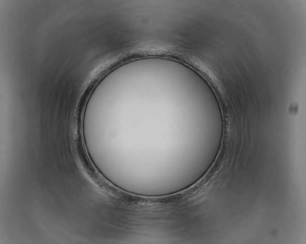X0000093130582200709261037