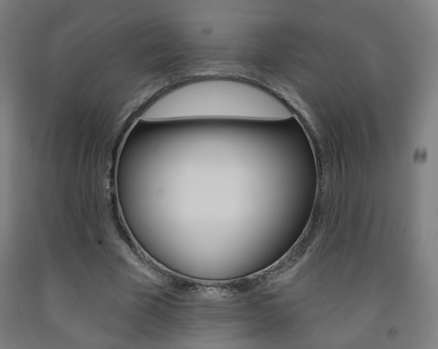 X0000093130585200709261037