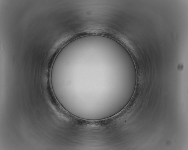 X0000093130586200709261037