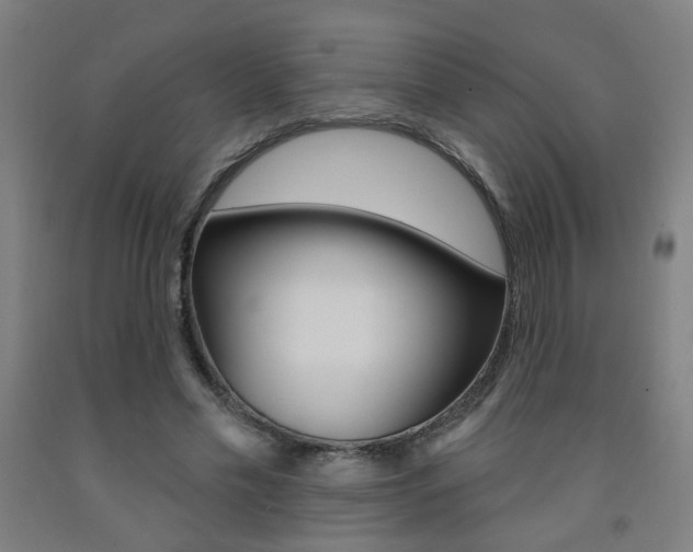 X0000093130589200709261037