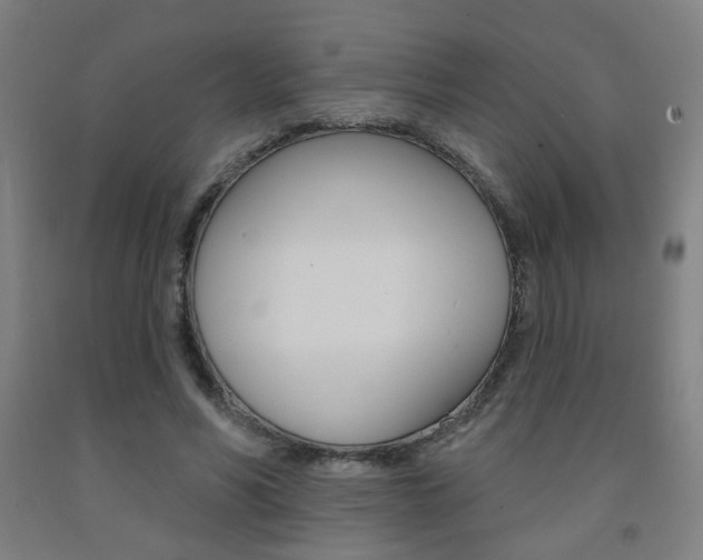 X0000093130590200709261037
