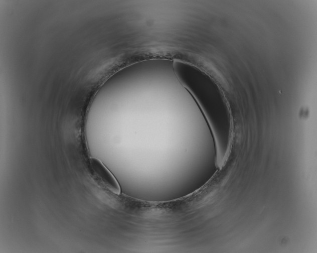 X0000093130593200709261037