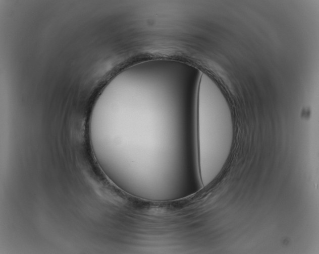 X0000093130596200709261037