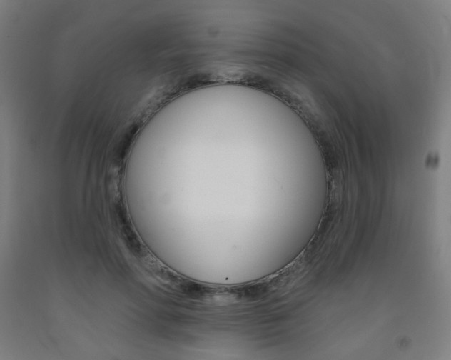 X0000093130598200709261037
