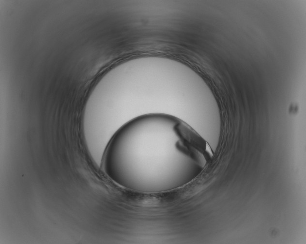 X0000093130600200709261037