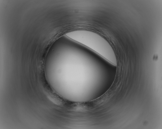 X0000093130601200709261037