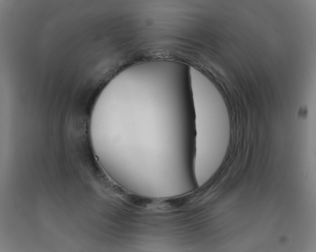 X0000093130603200709261037