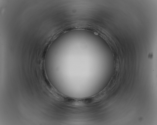 X0000093130604200709261037