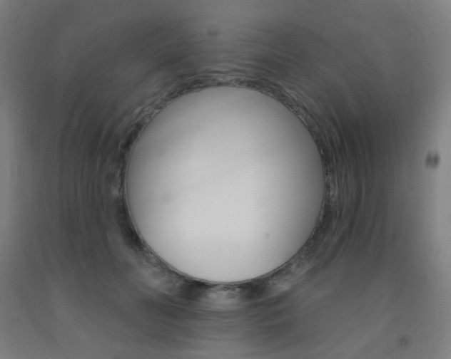 X0000093130606200709261037
