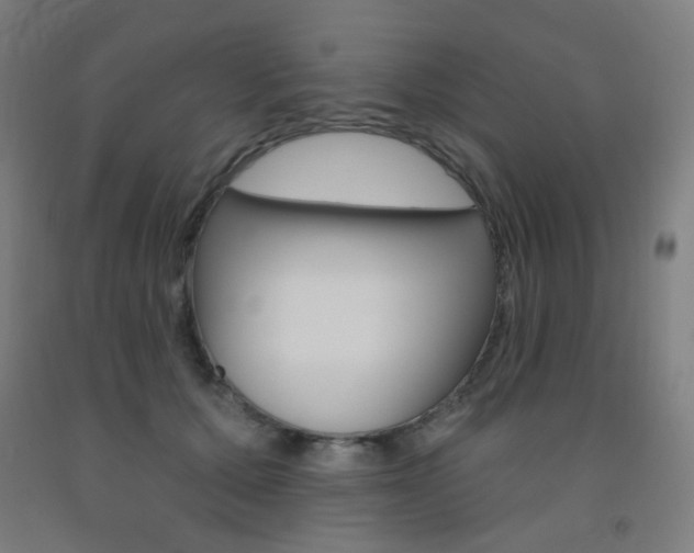 X0000093130607200709261037